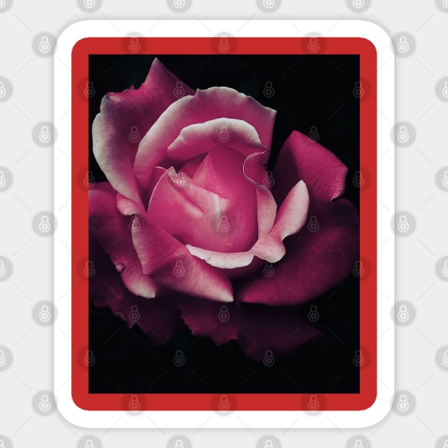 Pink Flower Sticker by RobertsArt